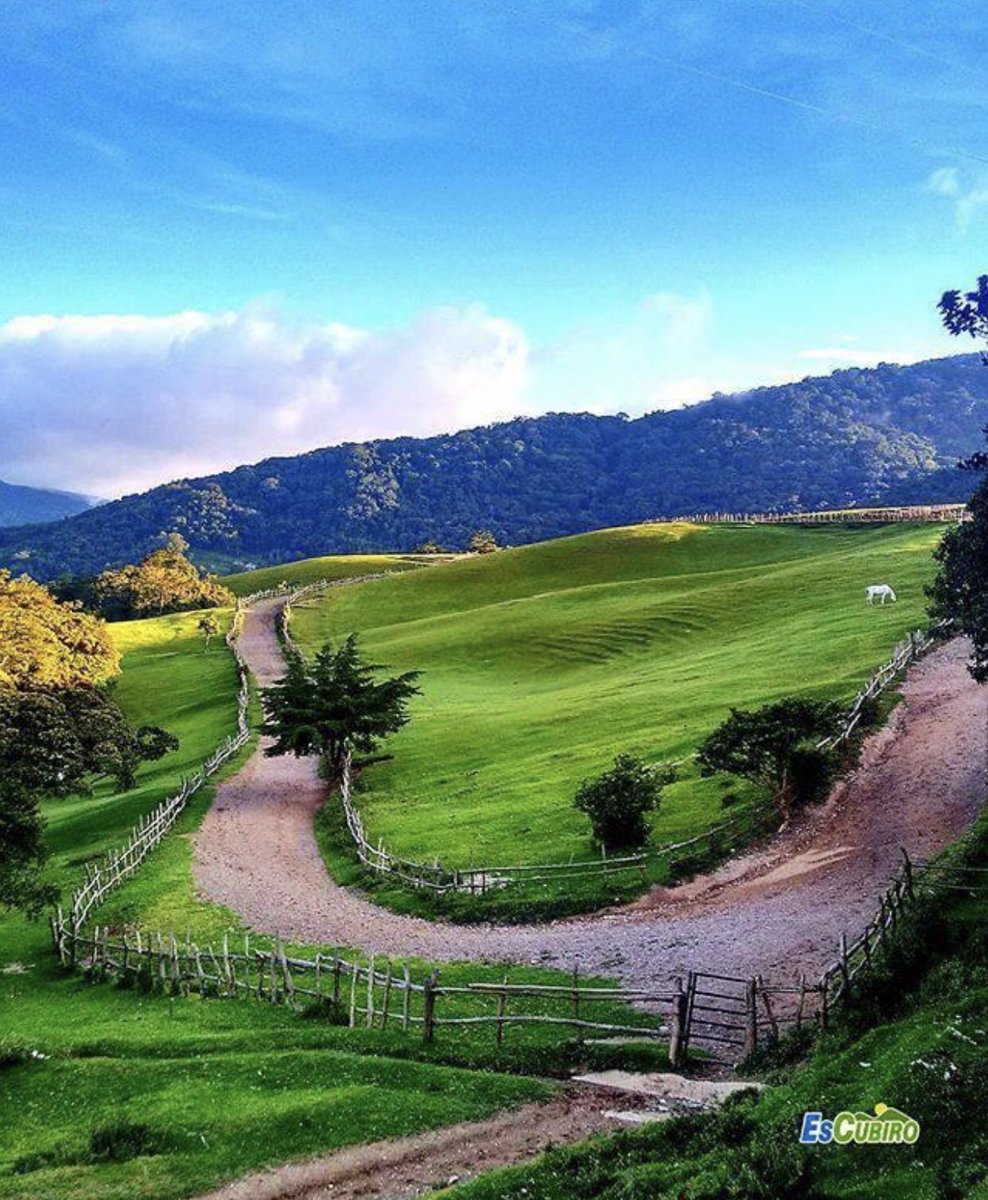 Diario El Tiempo CA tweet media