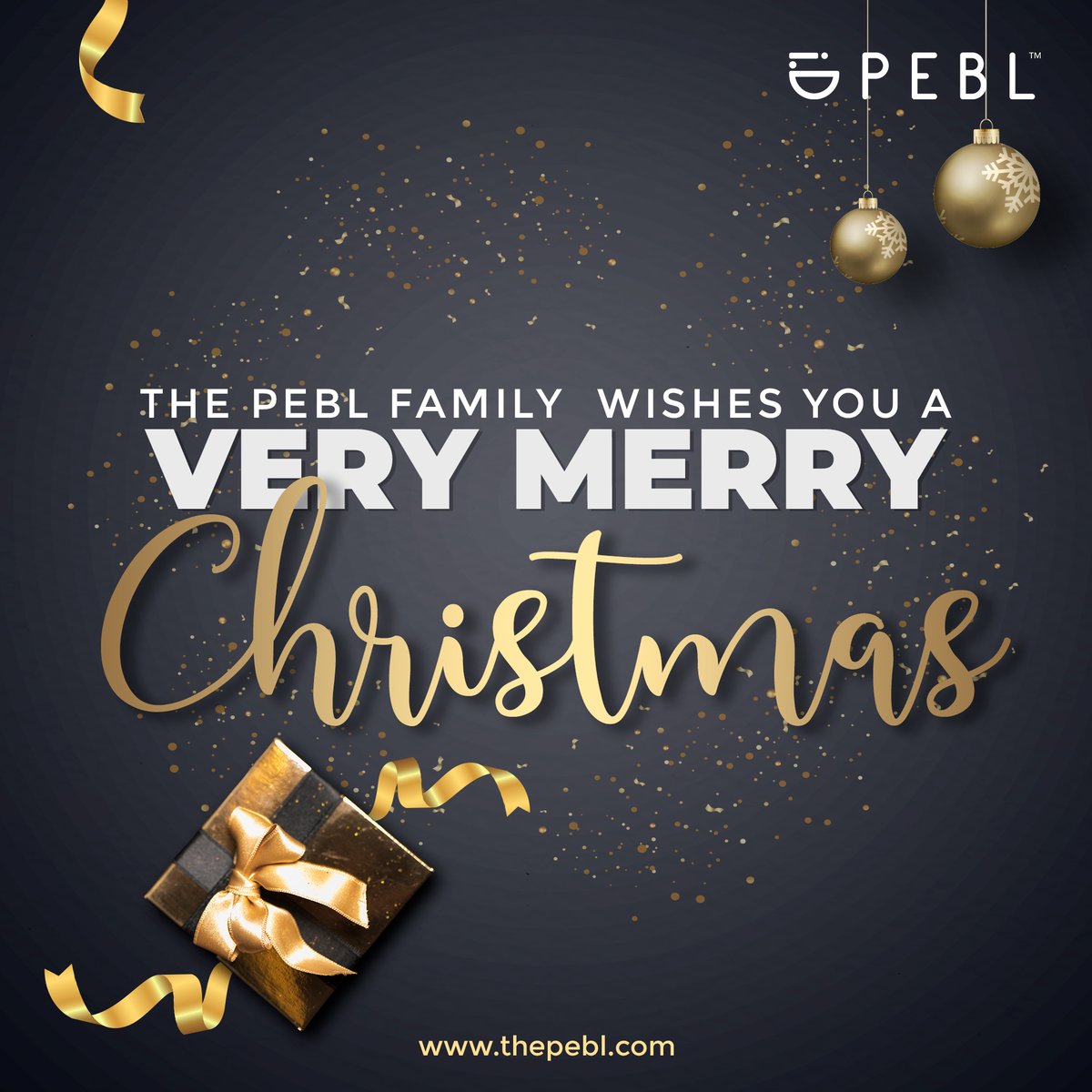 PEBLcomputers's tweet image. At this special time of year, we give thanks for all our customers who have made our jobs mean more and our lives more fulfilling. Thank you for being you.

Have a very merry Christmas.

#peblpower #proudlynambian #PEBL #xmas #wearePEBL