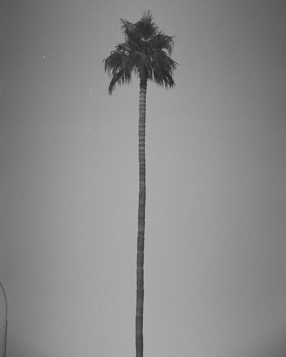 dryboystudios's tweet photo. Some b&w film from december in the desert #dryboystudios #35mm #gm https://t.co/OR47B6a4YT