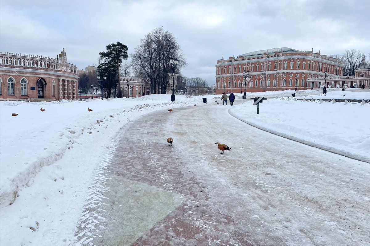 tsaritsyno tweet picture