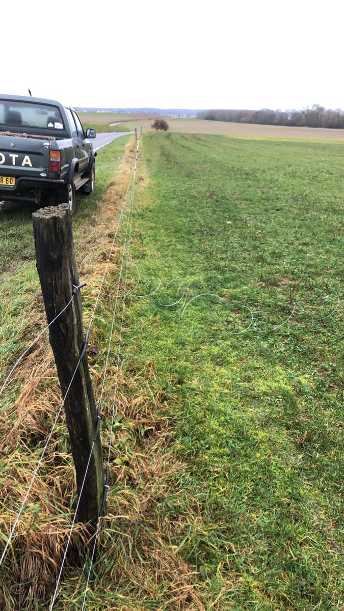 MartinProffit's tweet photo. Toujours un plaisir de refaire des clôtures un 27 décembre car un abruti a fait une sortie de route et n’a rien trouvé de mieux à faire que de ressortir à l’autre bout du pré.. clôture arrachée à 100%, jambe de force inclue. https://t.co/a6n4sVJRPD