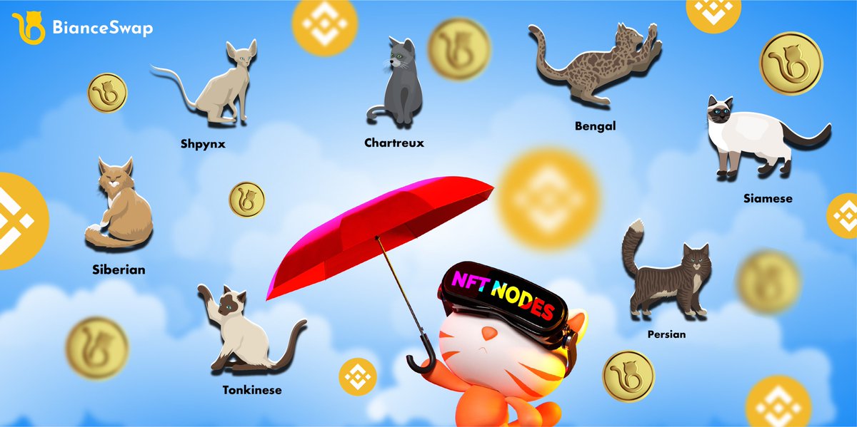 BianceSwap's tweet photo. @BianceSwap NFT Nodes community-driven gaming mechanism allow users to earn #NFT, $BNB, and $BNP airdrop easily. 

These nodes are made up by different species of cat, and each of them consist of different speciality of benefits for owner.

Find out MORE : https://t.co/8g887LzOEH https://t.co/MxWpttdRsJ