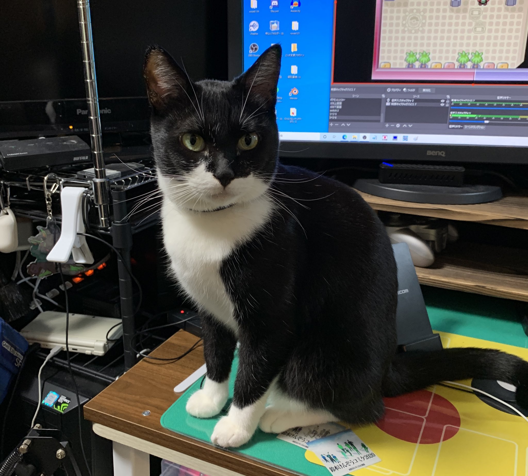 鈴木けんぞう on X: 