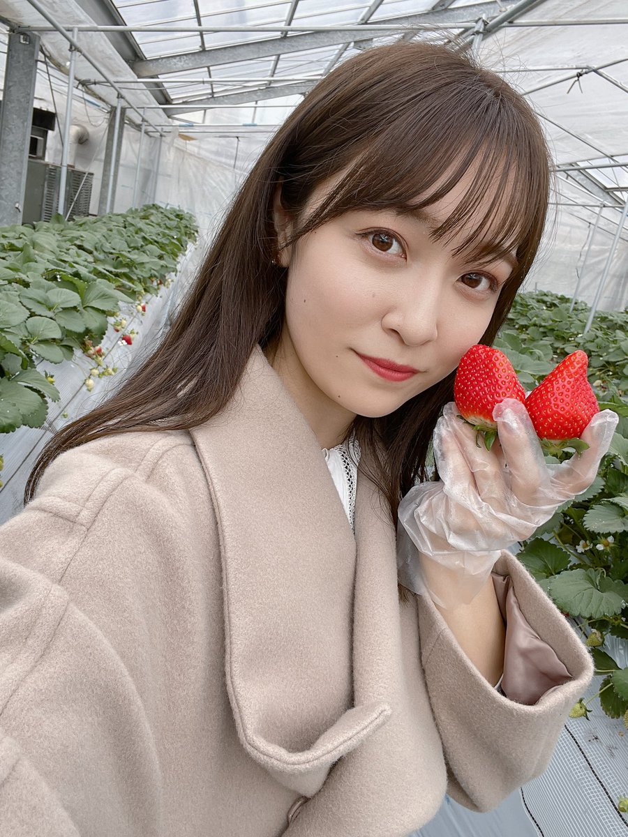 mjc2020_04's tweet photo. 【#いちご王国🍓 × #キャンパスラボ  】

先日、いちご王国のアンバサダーとして栃木県にあるいちごの里に産地視察に行ってきました…！☺️

5品種のいちごを食べ比べさせていただき、それぞれが持つ魅力を実感しました✨

とちぎテレビで放送された様子も是非ご覧ください✊🏻
➡️https://t.co/Vq4avkfZqh https://t.co/DBgjfdaAac