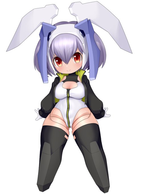 もうナビちゃんにもコレを着てもらう 