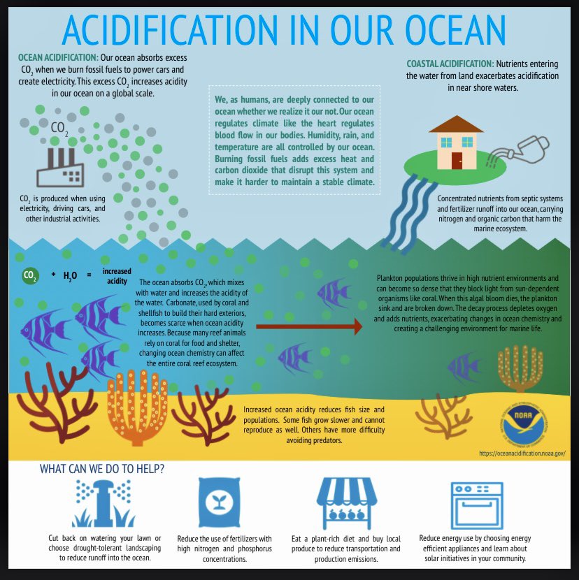 Corals 4 Conservation tweet media