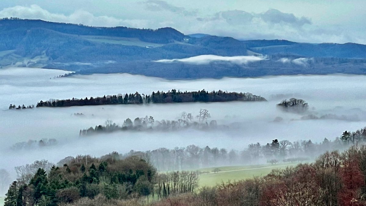 AndreasWiede's tweet photo. Good morning! #Jura #Laufental🇨🇭#groundfog https://t.co/KicE4NGc3J