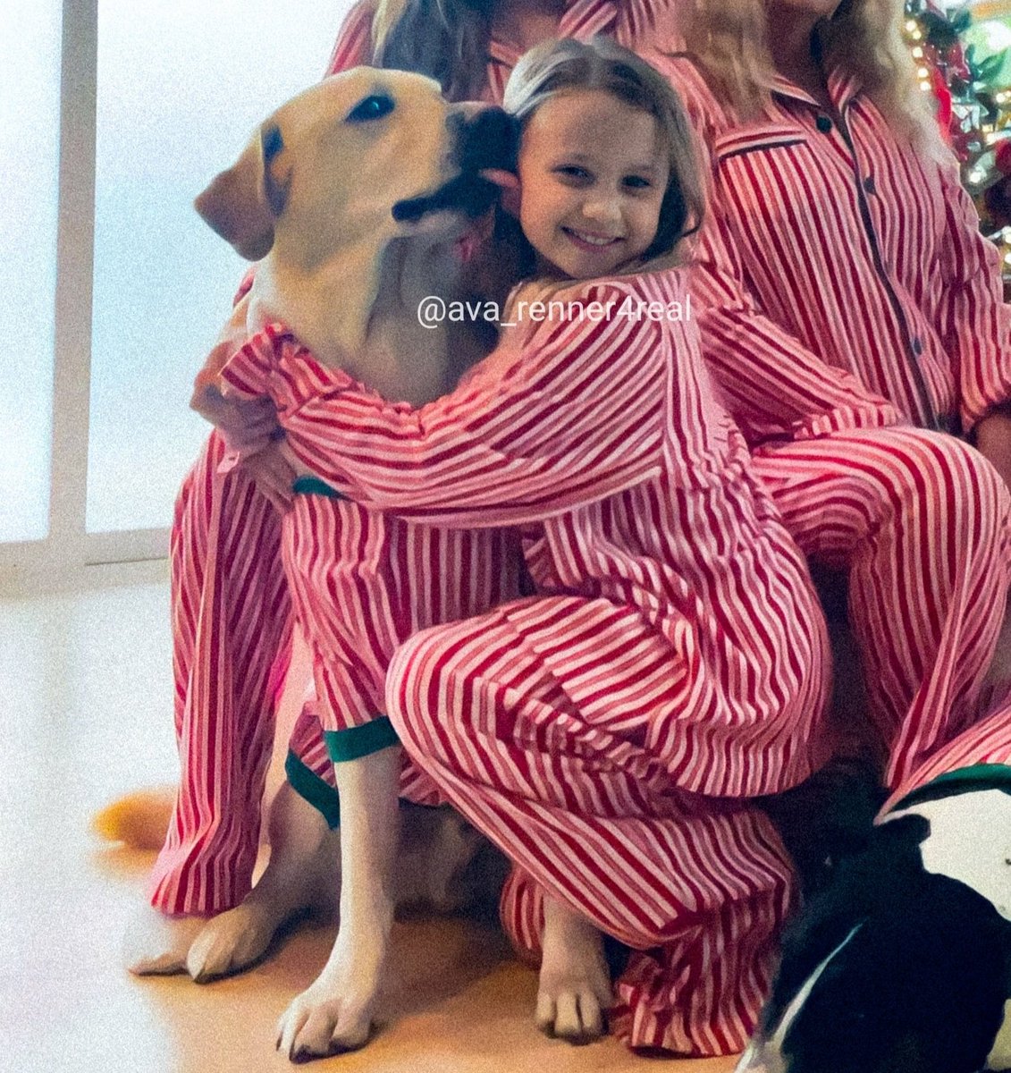 ava_renner4real's tweet photo. 📷 NEW 》pic of Ava from Christmas!😍
#jeremyrenner #avarenner #avaberlinrenner https://t.co/evsq7fYjm4
