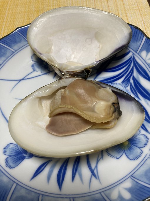 ホンビノスもいいけどハマグリうめー
サンキューふるさと納税 