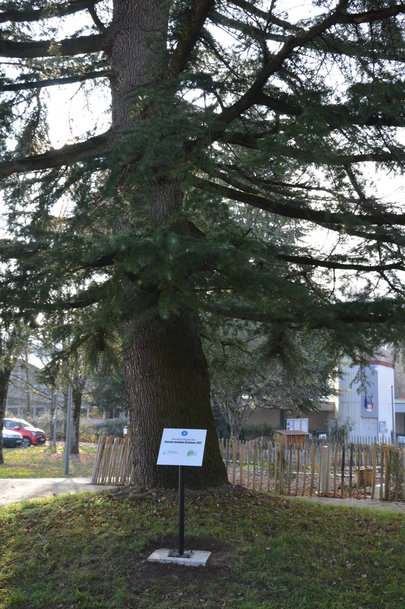 La Motte-Servolex renforce son engagement auprès de France Alzheimer ! 🌲
La ville a offert un arbre remarquable à l'association, au pied duquel une plaque est apposée à l'occasion de la journée mondiale Alzheimer 2021🤝