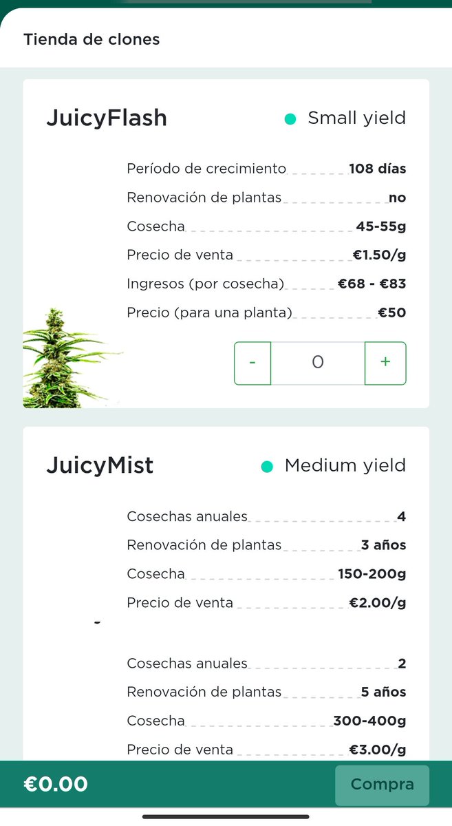 yanirasc's tweet photo. @PequeoInversor1 @MyInvestorES Hola @PequeoInversor1 no se si conoces esta forma de invertir, pero merece la pena echarle un vistazo. Yo estoy invirtiendo en plantaciones de María medicinal, cada 3 meses tengo mis beneficios. https://t.co/Z6A8jZK6Ly https://t.co/ToXJNqN1uN