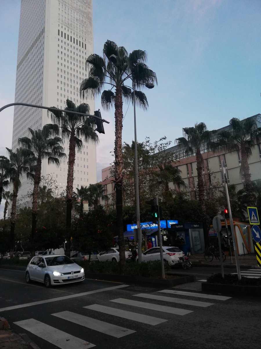 Ömer Güler (@oomerqll) on Twitter photo 