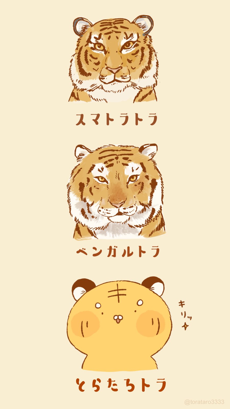 とらたろ 新種のトラ かもしれないにょ とらたろ 虎 トラ イラスト 絵 ゆるキャラ イラスト好きな人と繋がりたい 動物 のんびり 絵描きの輪 スマトラトラ ベンガルトラ T Co Zhxzkdnepy Twitter