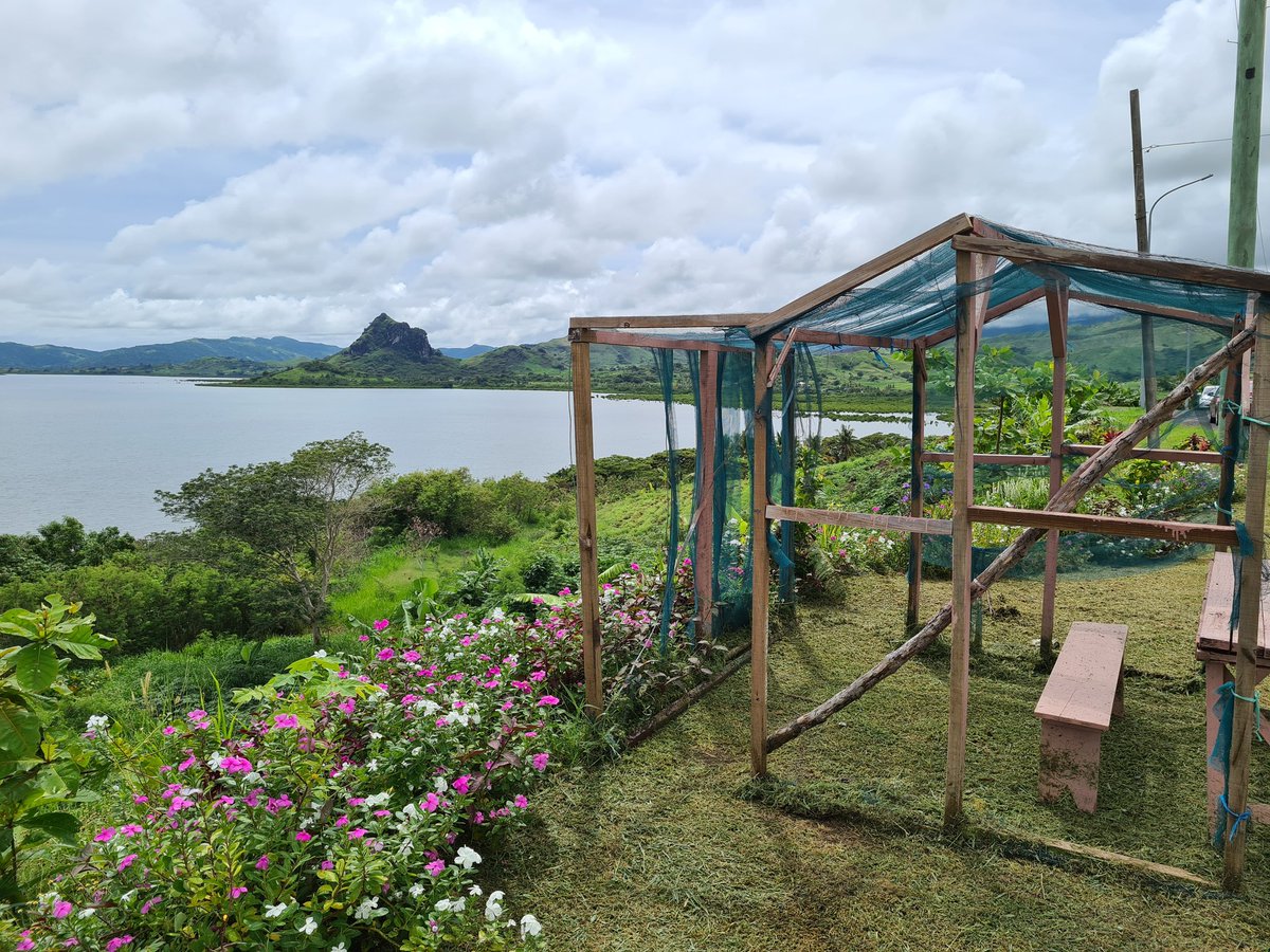 Vilisi R tweet media