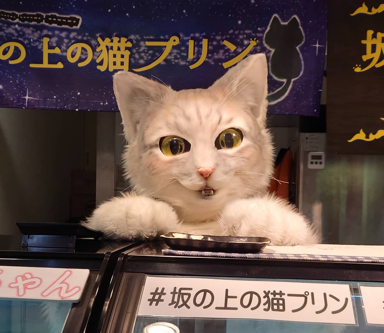 プリン専門店 坂の上の猫 源田 晃一 公式 ２０２２年の予定です １月 新潟伊勢丹 京都伊勢丹 ２月 イオンモール札幌 イオンモール新潟 イオンレイクタウン ３月 広島そごう 大分トキハ百貨店 ４月 石川香林坊大和百貨店 熊本鶴屋百貨店 ５月 秋田