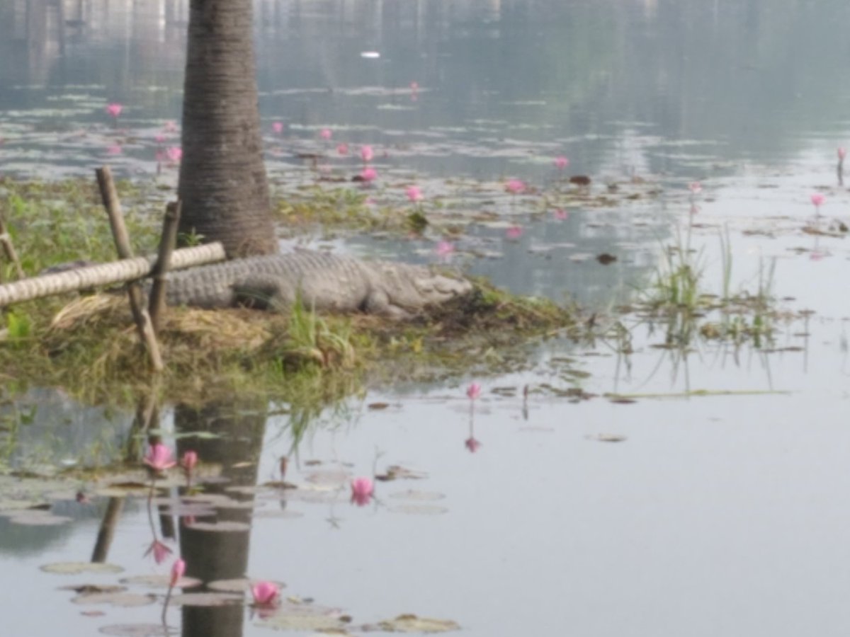 Syfullah Munir (@syfullahmunir3) on Twitter photo 