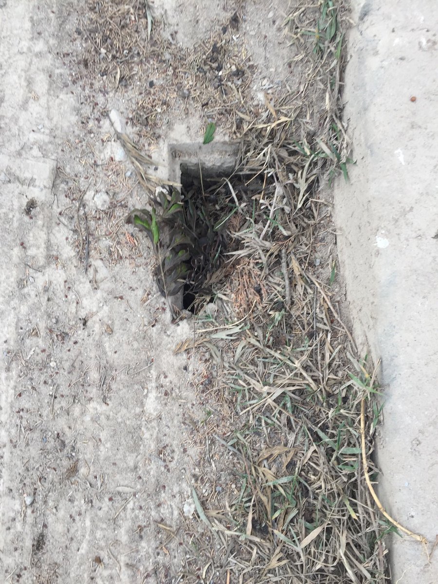 TpEdipa's tweet photo. ¡¡¡DENUNCIA PÚBLICA!!!

¡¡¡VERGÜENZA!!! De como están algunas calles de mi pueblo, llenas de suciedad, sin asfaltar, con falta de alumbrado y el alcantarillado... lleno de suciedad y sin las rejillas https://t.co/jesfiyCxEx