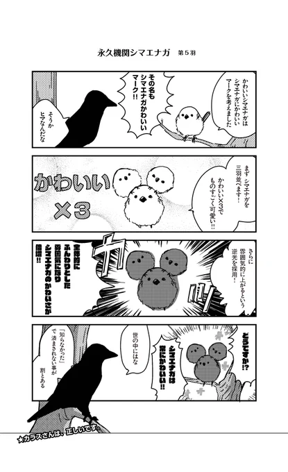 あざといシマエナガと賢いカラス_5
#永久機関シマエナガ
#シマエナガとカラスさん 