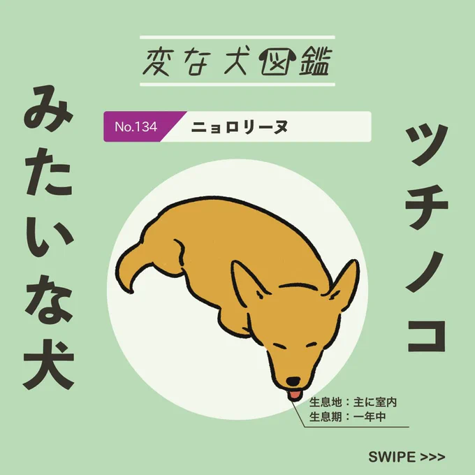 【変な犬図鑑】
No.134 ニョロリーヌ
手足を収納して、ツチノコやヘビみたいになっているあの犬です。 