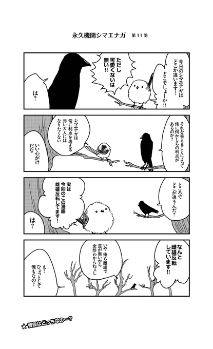 あざといシマエナガと賢いカラス_11
#永久機関シマエナガ
#シマエナガとカラスさん 