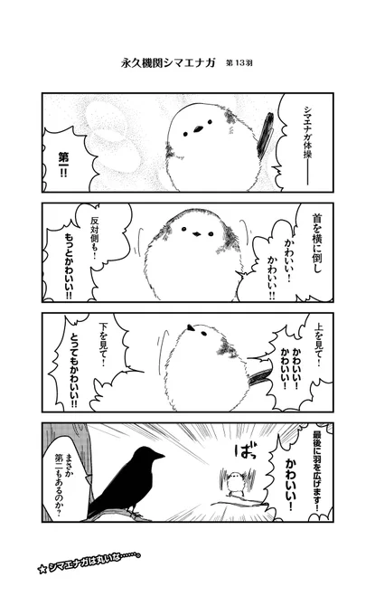 あざといシマエナガと賢いカラス_13
#永久機関シマエナガ
#シマエナガとカラスさん 