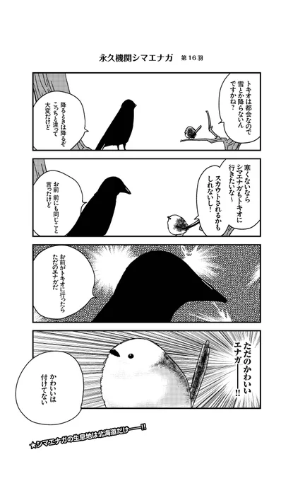あざといシマエナガと賢いカラス_16
#永久機関シマエナガ
#シマエナガとカラスさん 