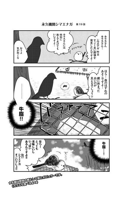 あざといシマエナガと賢いカラス_19
#永久機関シマエナガ
#シマエナガとカラスさん 