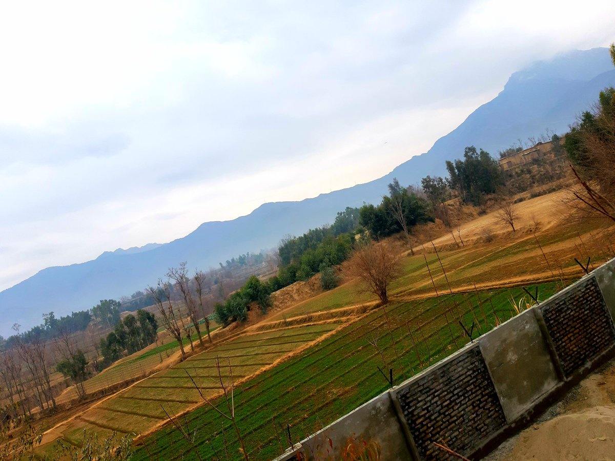 alizai719's tweet photo. Village 💞 https://t.co/HNbw6zpOoM
