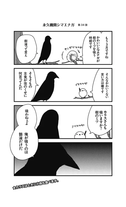 あざといシマエナガと賢いカラス_34
#永久機関シマエナガ
#シマエナガとカラスさん 