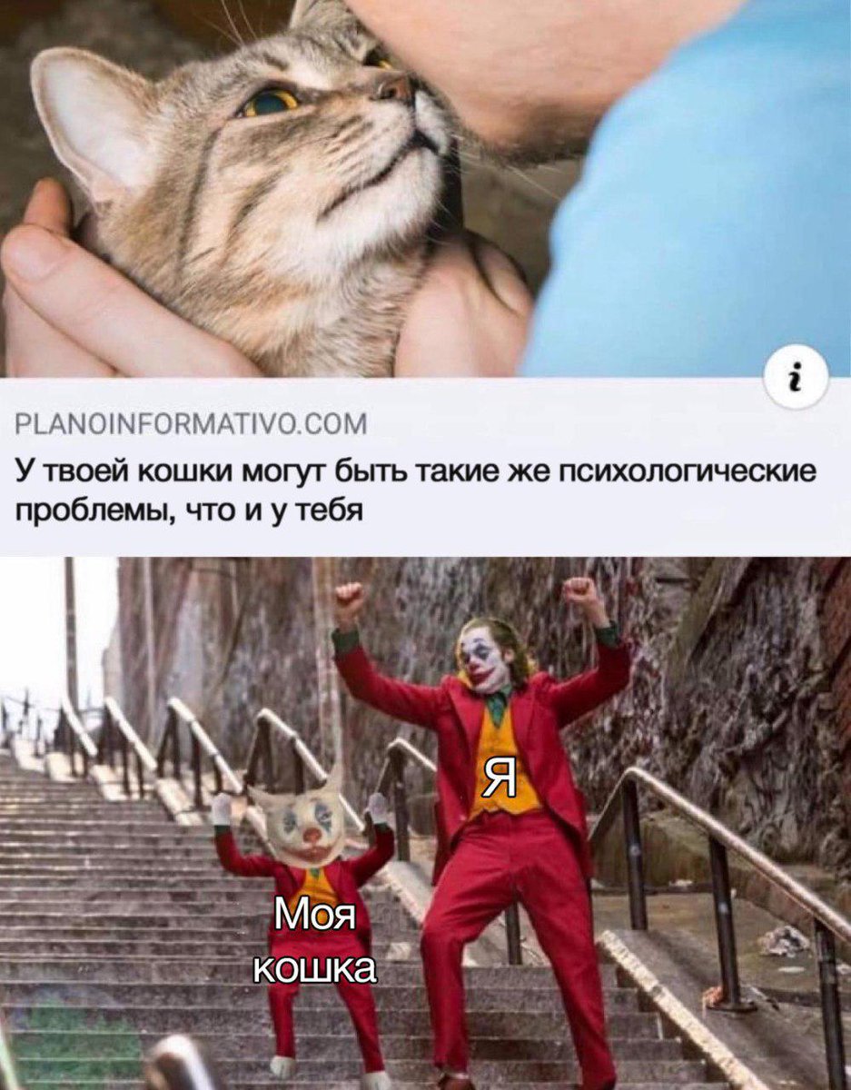 Удаляю лишнее с устройства, открываю ЭТО и моя кошка со всей дури вьёбывается в дверь 😐