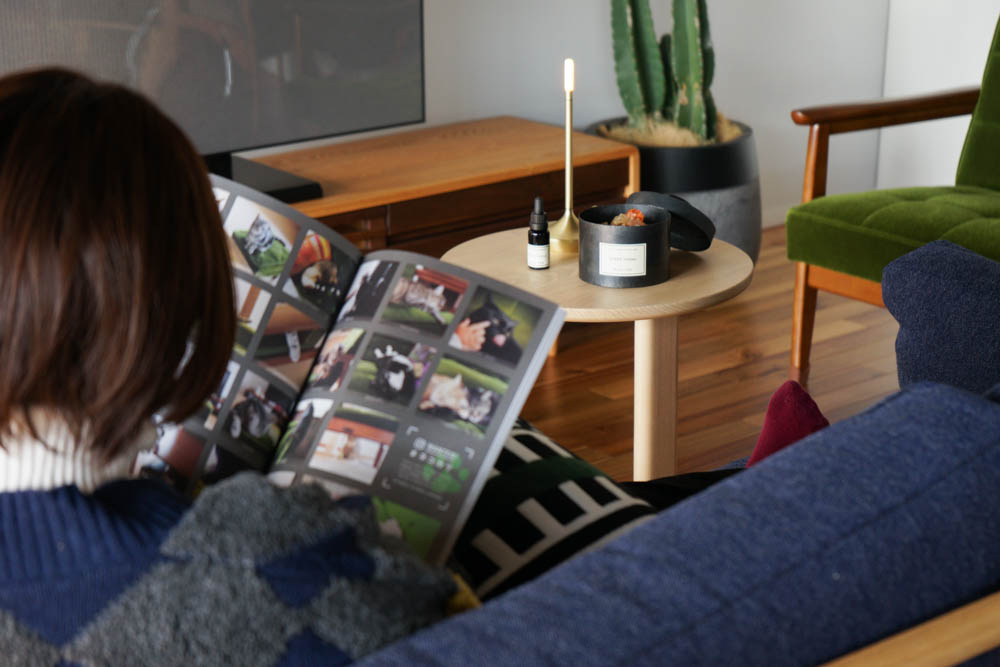 Vanilla バニラ インテリアショップ Vanilla 1950 Twitter