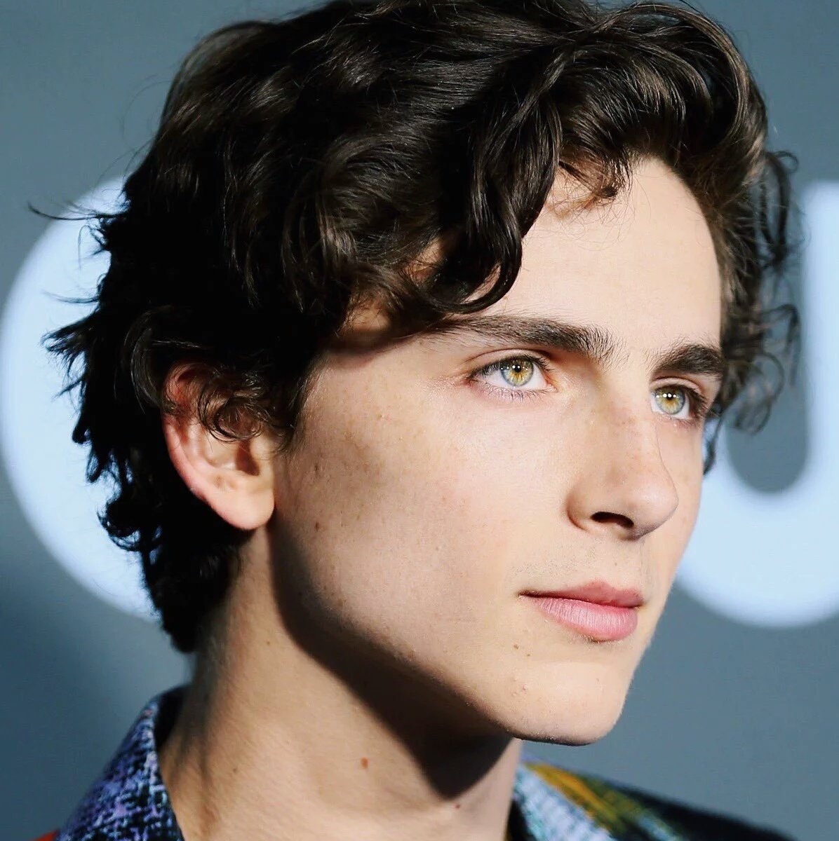 Happy Birthday To An Amazing Actor Timothée Chalamet!           