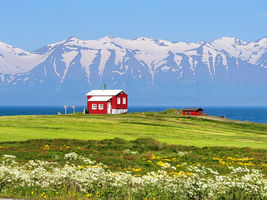 Archives_UAF's tweet photo. #FBI. Takköi: Iceland. https://t.co/CBXWrL2tDd