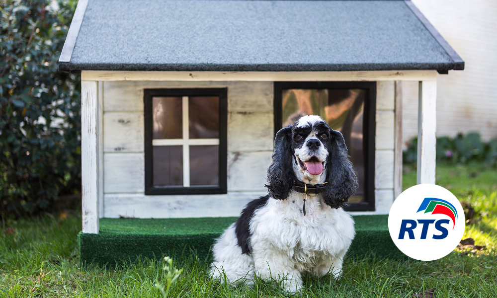 Rts_Spain's tweet photo. ¿Te preocupa que tu mejor amigo de cuatro patas pase frío o calor en su caseta? ¡Te contamos cómo asegurarte de que esto no suceda!
✅  https://t.co/63VYPCwnJA
✅ ¿Hablamos? https://t.co/a1CLG6NypN
#AislanteTérmico #CasaDelPerro https://t.co/3J6cL8yDFu