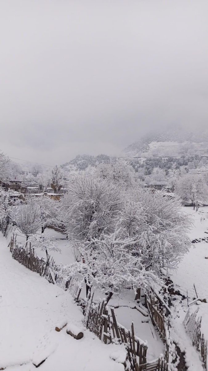 KumratDirU's tweet photo. آج کے برف باری کے بعد جون تھل کا خوبصورت منظر
تصویر: اصل دین کمراٹ
#kumratvalley #kumrat #snowfall2021 https://t.co/OYEF7x9ery