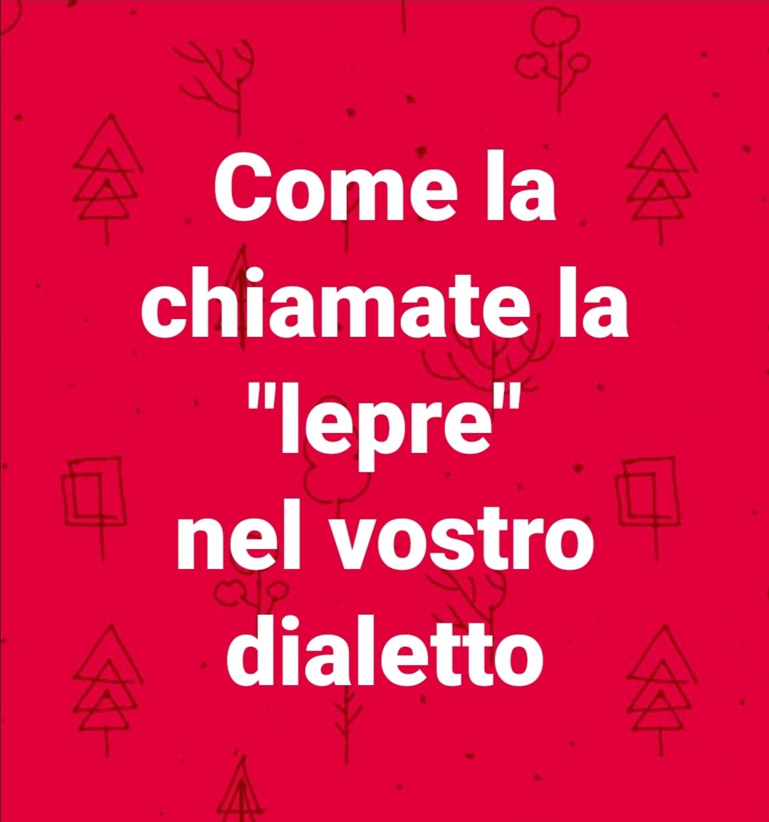 gianka tweet media