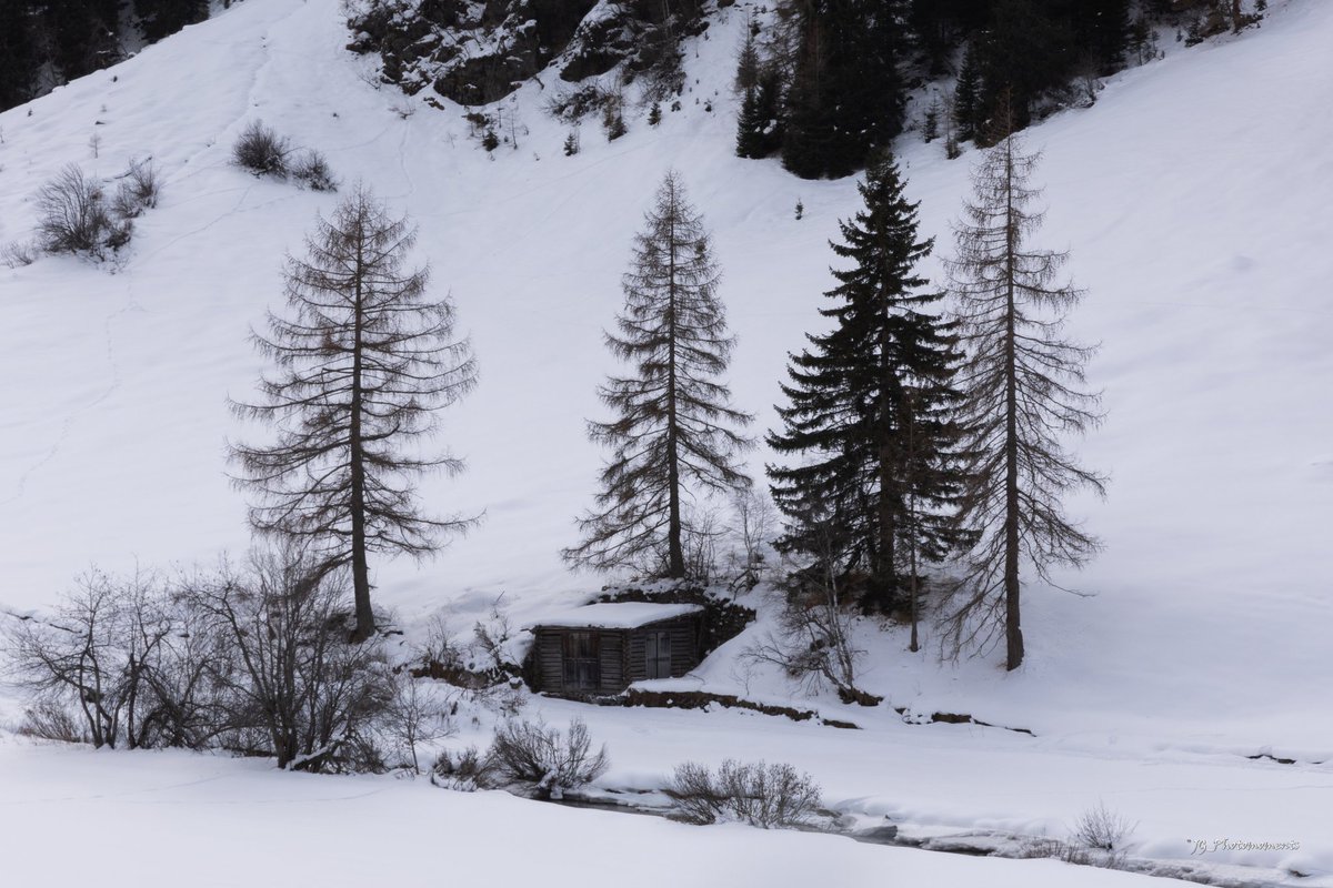 JPhotomoments's tweet photo. Weisse Weihnachten...

Zum Glück hat niemand den Schnee abgesagt.  Und das Wetter in Davos war besser als überall sonst, wo ich während den 3 Stunden durchgefahren bin.

#landscape #davos #dischma https://t.co/tcr2KQPecU
