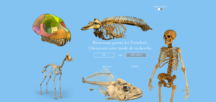 SVT_edu_num's tweet photo. L’application « Vertébrés » passe en version 2.0, avec l’ajout d’une fonctionnalité technique et l’enrichissement de sa collection. #biologie #SVT #EduUp. ���️ https://t.co/orhuweKwac https://t.co/MuSXr30xCp
