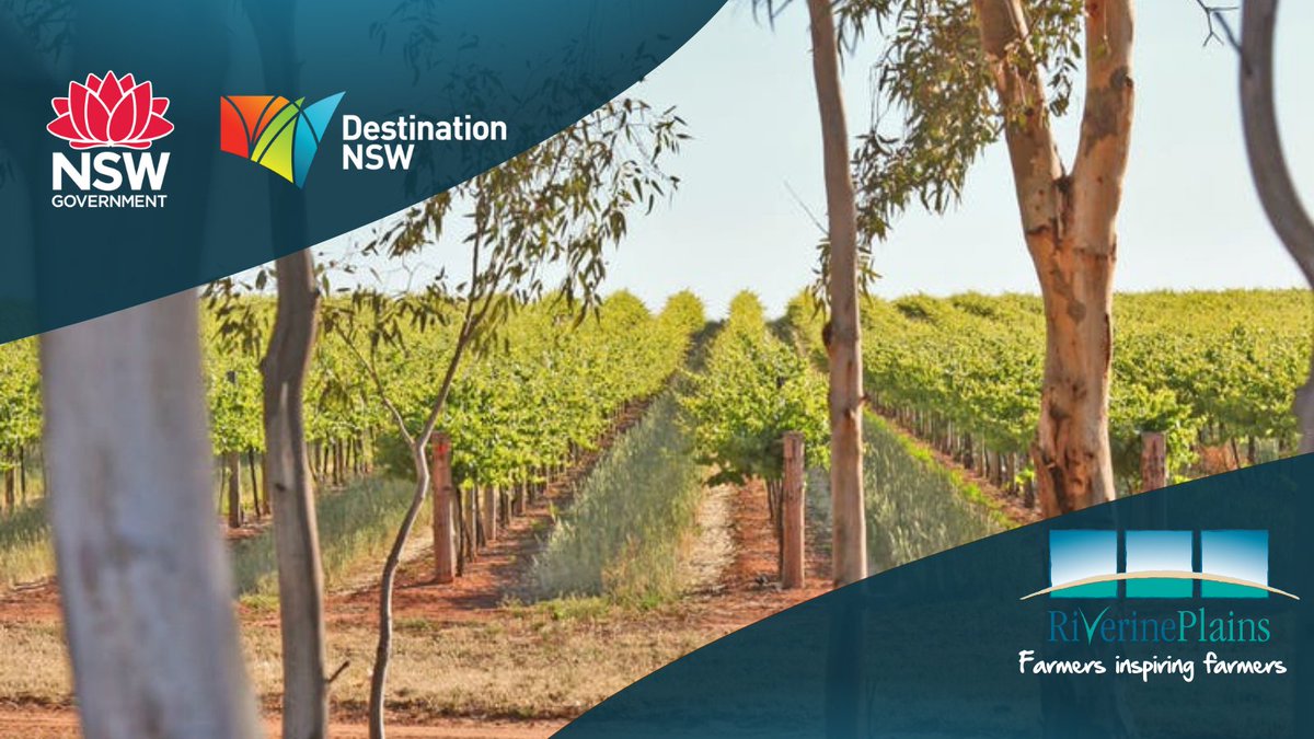 Riverine Plains tweet media