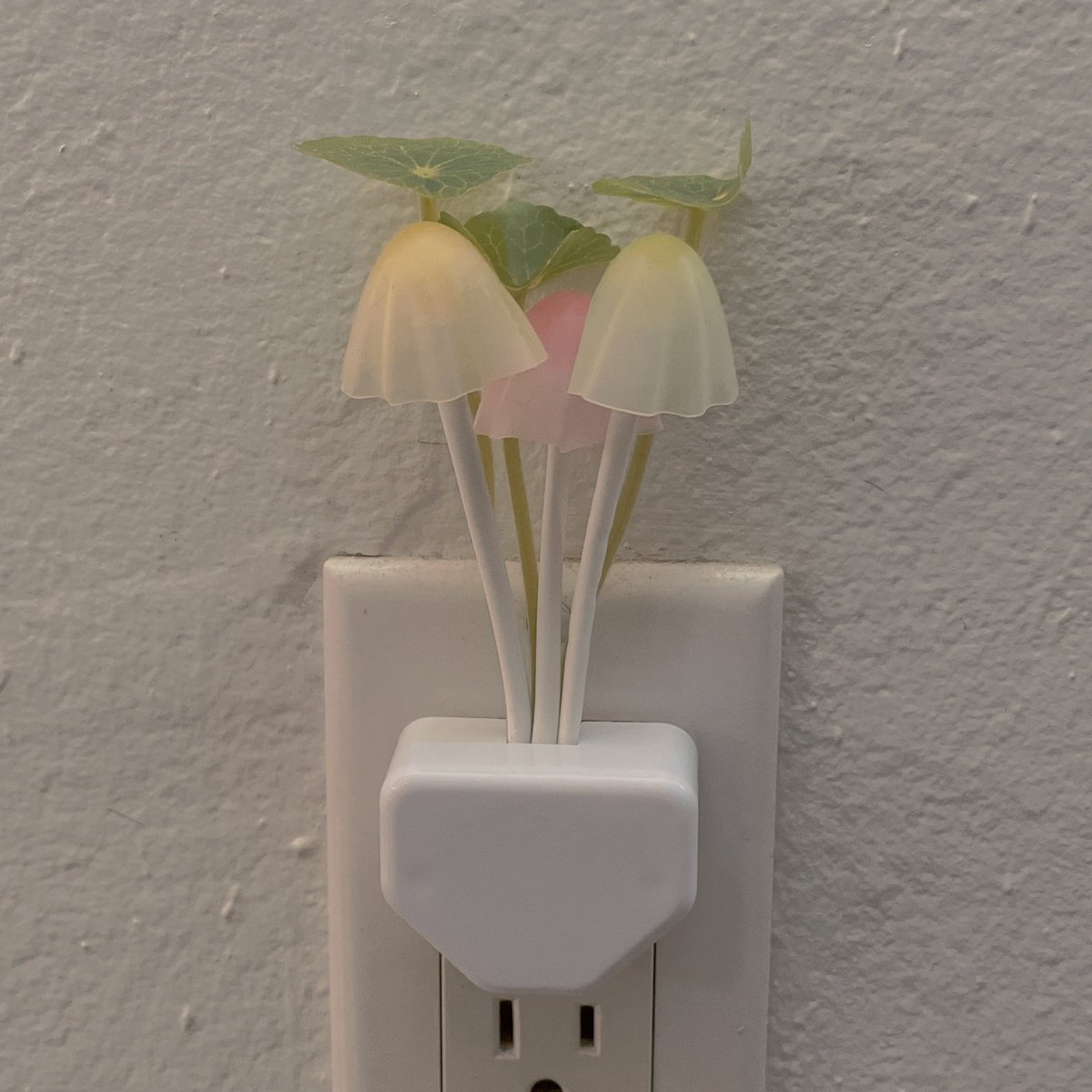 bug🐁🌱 tweet media