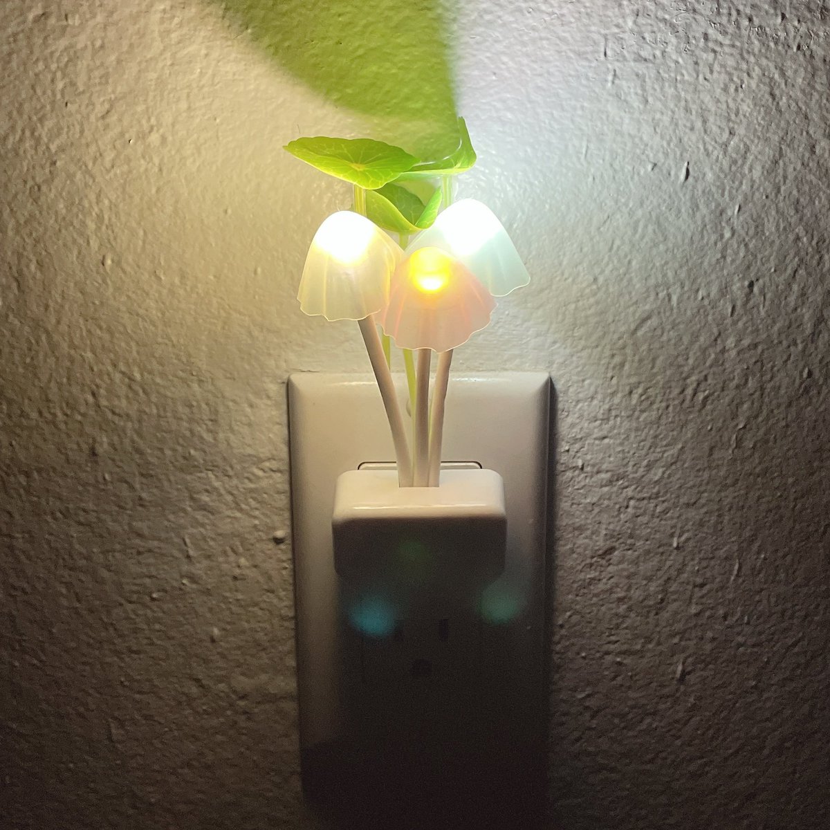 bug🐁🌱 tweet media