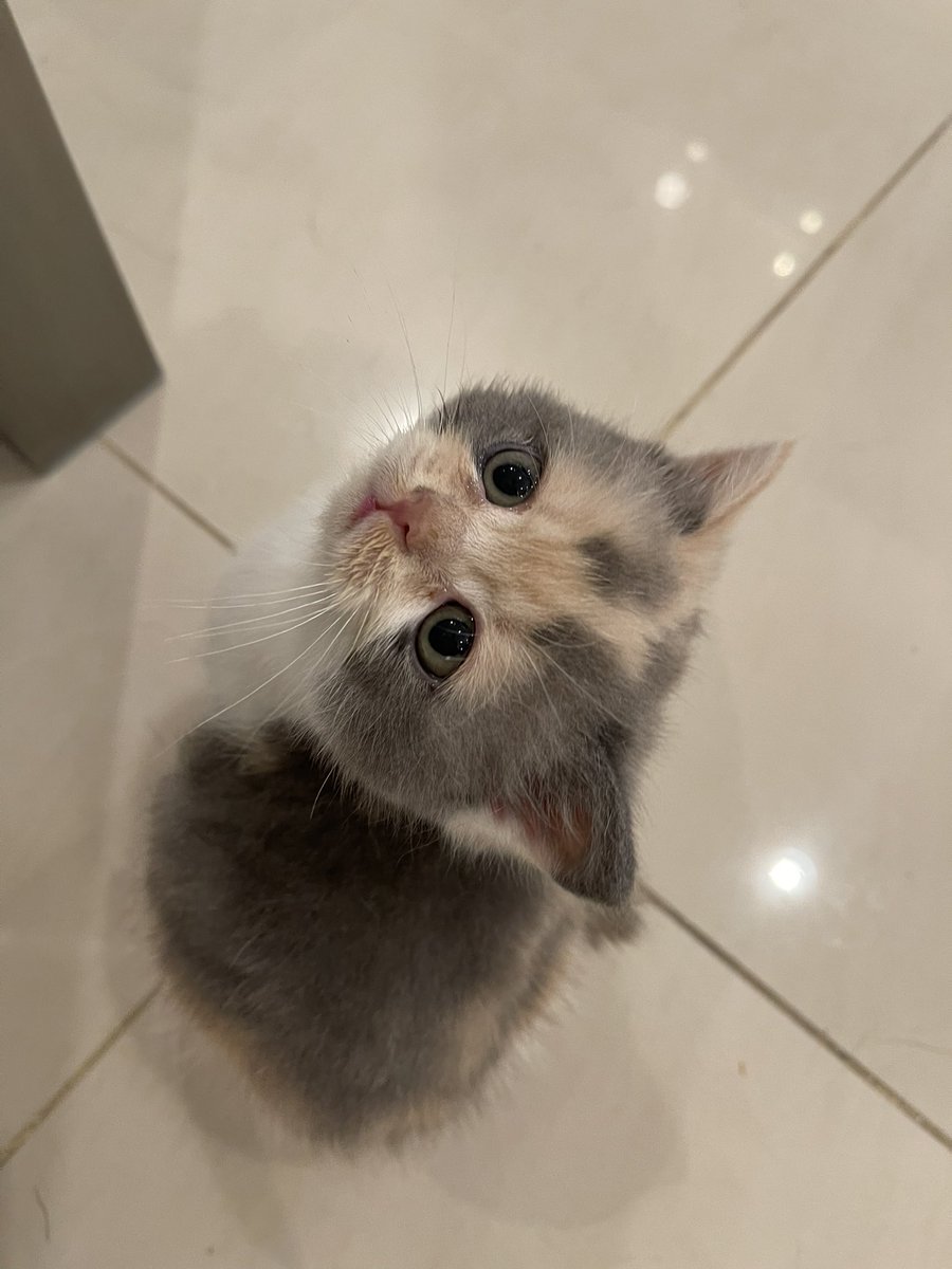 aahrahr's tweet image. ตัวเร้กจ๋อมแจ๋ม🤏🏻