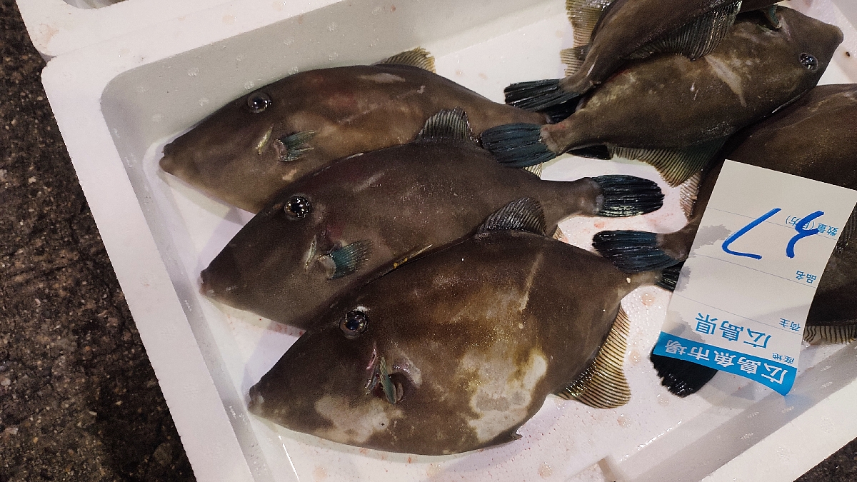 広島市中央卸売市場中央市場 Ichiba 3 Twitter