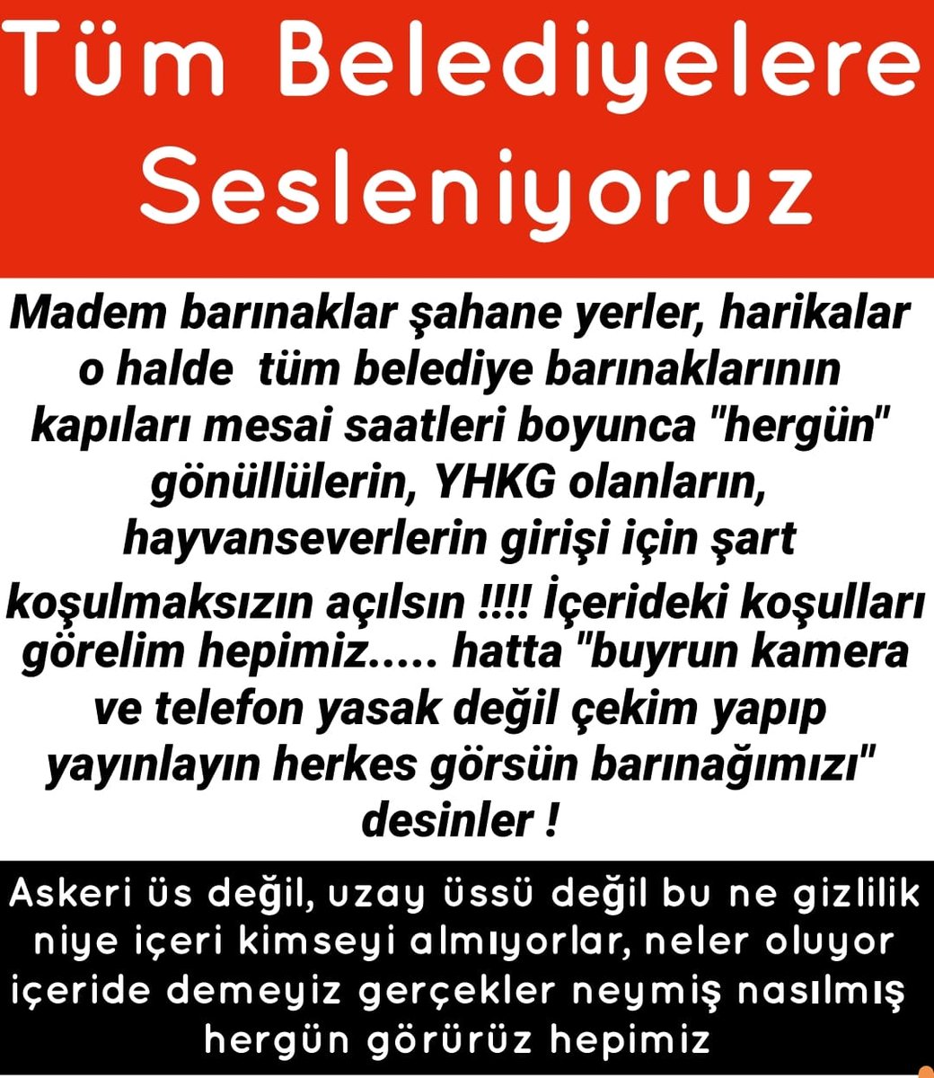 Ayse Colpan tweet media