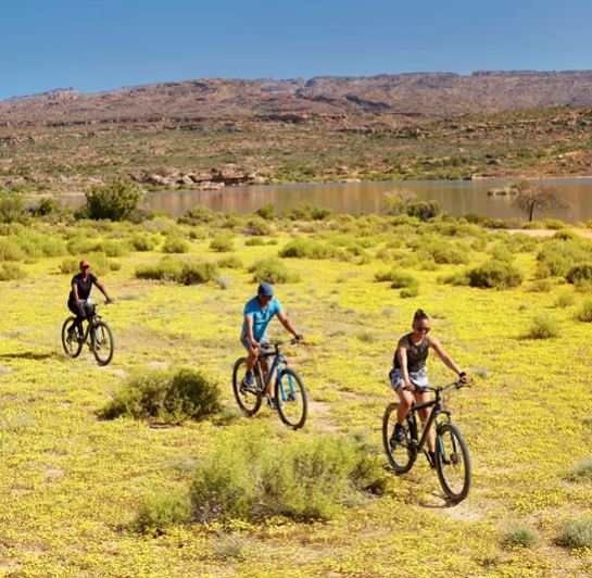 Whether you prefer two legs or two wheels, the tracks and trails across Bushmans Kloof offer hours of entertainment for hikers, runners and cyclists.
ow.ly/p7It50HiGNh
#BushmansKloof  #Cederberg #Clanwilliam #RedCarnationHotels