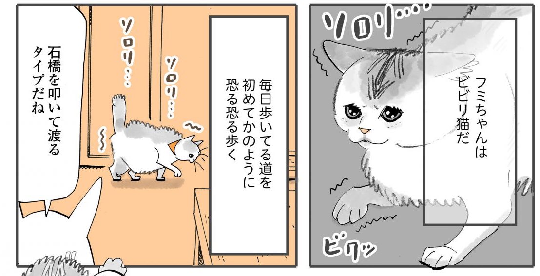 これが不安げに歩くフミちゃんです。 https://t.co/mWTcnPZ1d6 