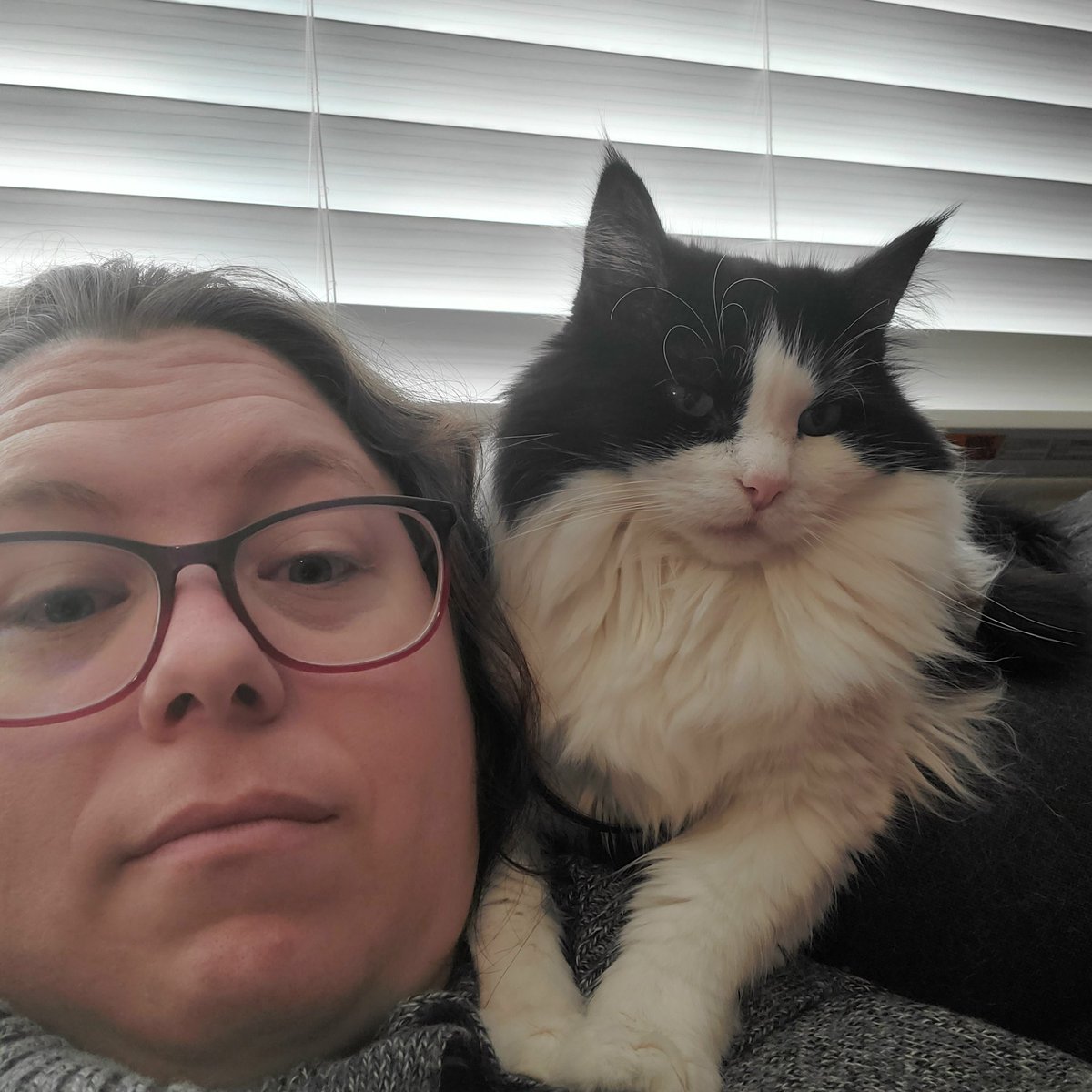 ZT Golding tweet media