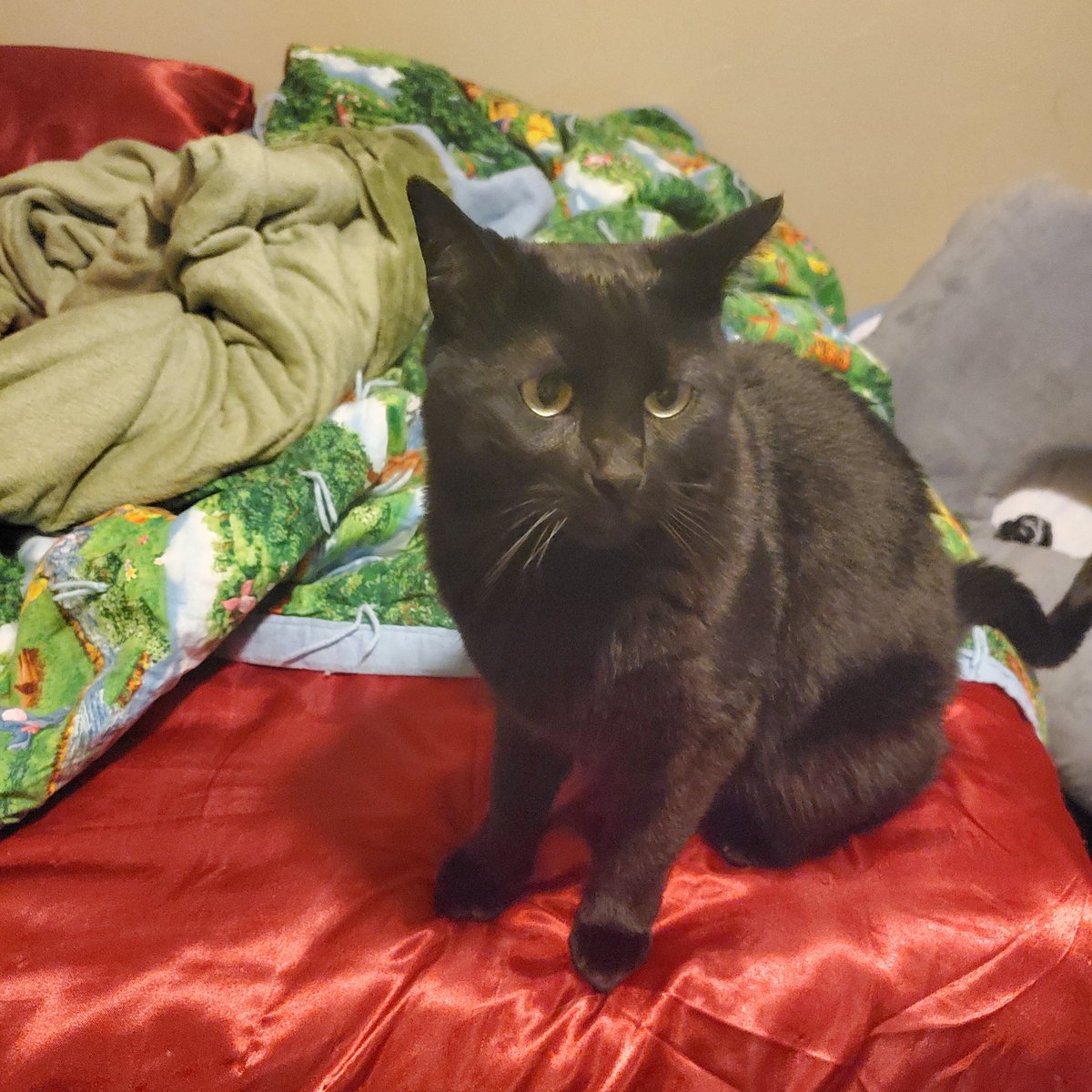 ZT Golding tweet media