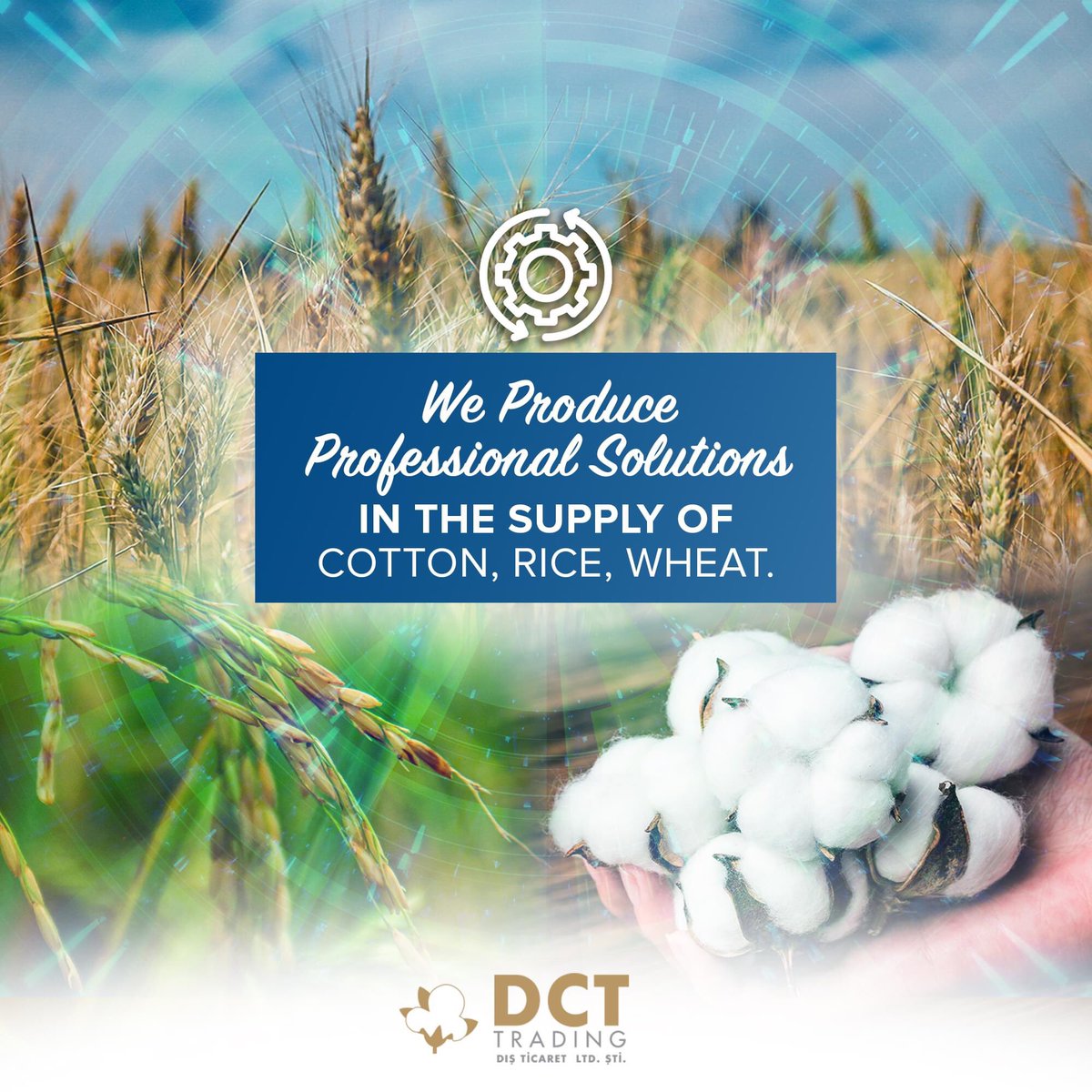 DctTrading's tweet photo. With our strong supply network and many years of experience, we produce professional solutions and offer the best quality products to our customers.

#DctTrading #trading #export #import https://t.co/BNSHzsXy7J
