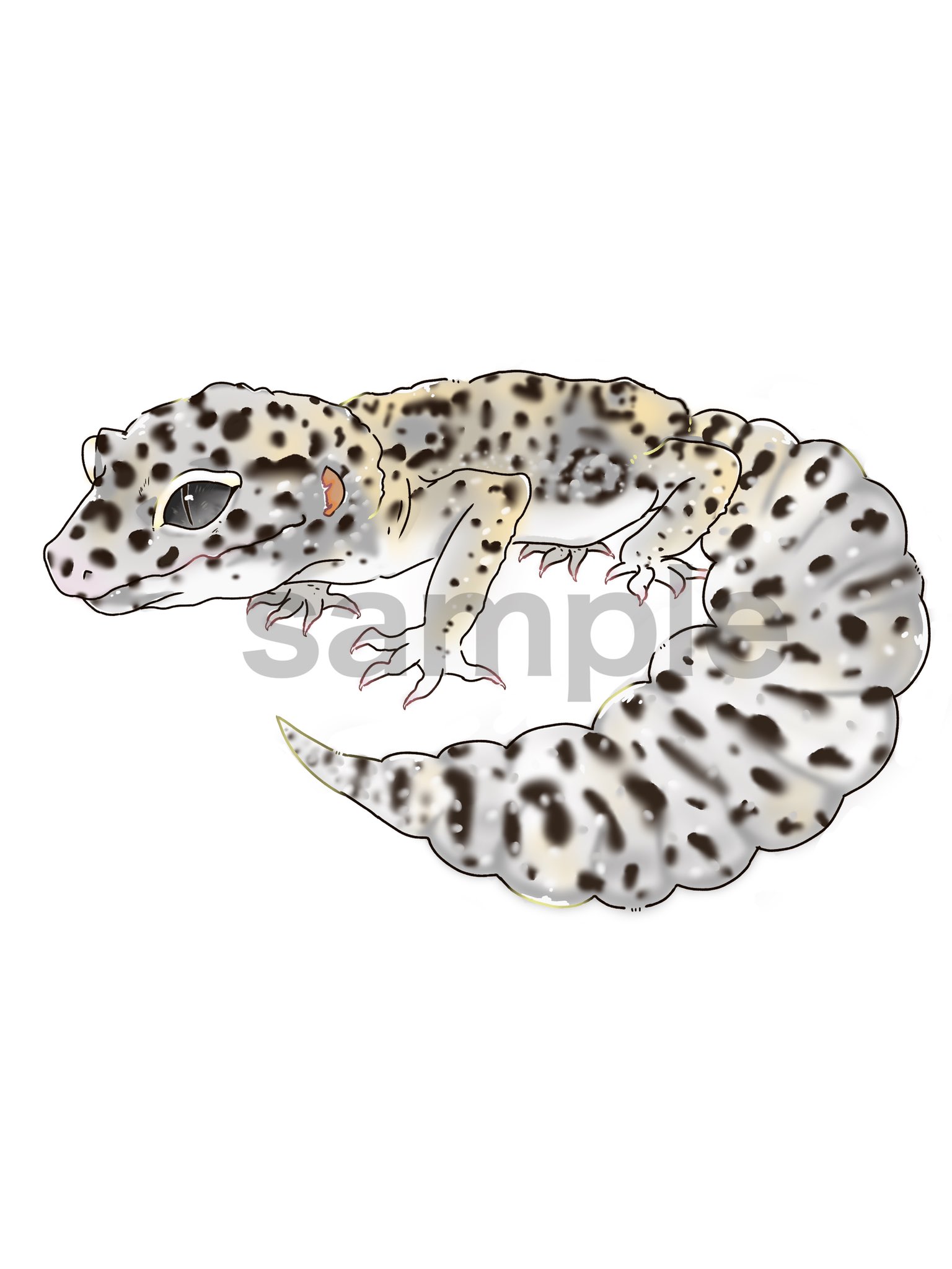 Aya 爬虫類シェルター等色々販売中 アイコンも描いて欲しいという方が居たのでアイコン用のイラストも販売しようかと思います 気になる方はdmお願い致します ᴗ ˬᴗ レオパ以外も鳥類 哺乳瓶なども描けます ヒョウモントカゲモドキ